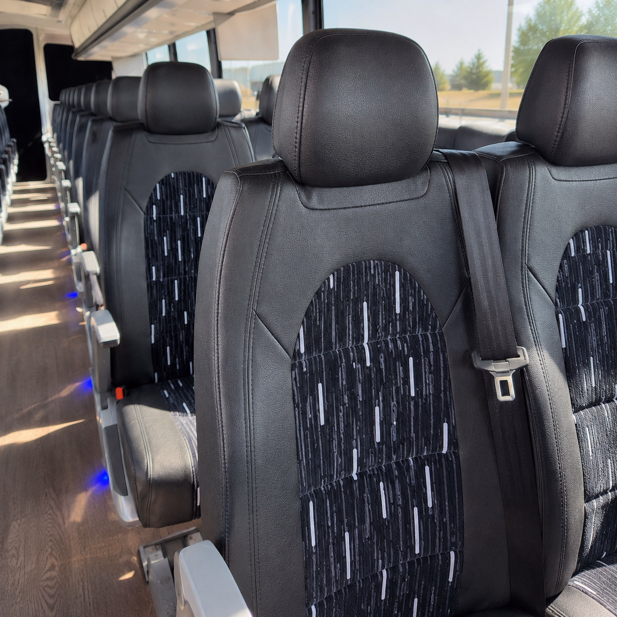 through a network of bus companies senior ministry transportation has never been easier